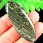 50x20x6mm Natural Kambaba Jasper ovale kettinghanger