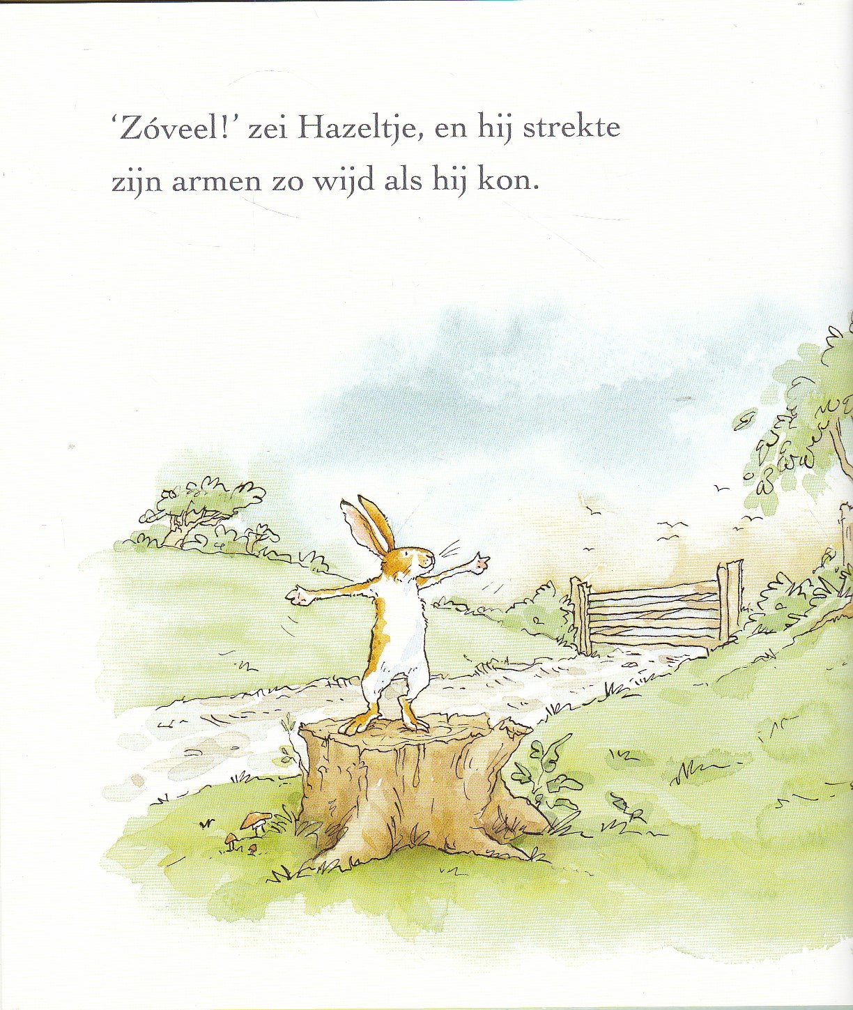 Raad eens hoeveel ik van je hou - Afbeelding 3
