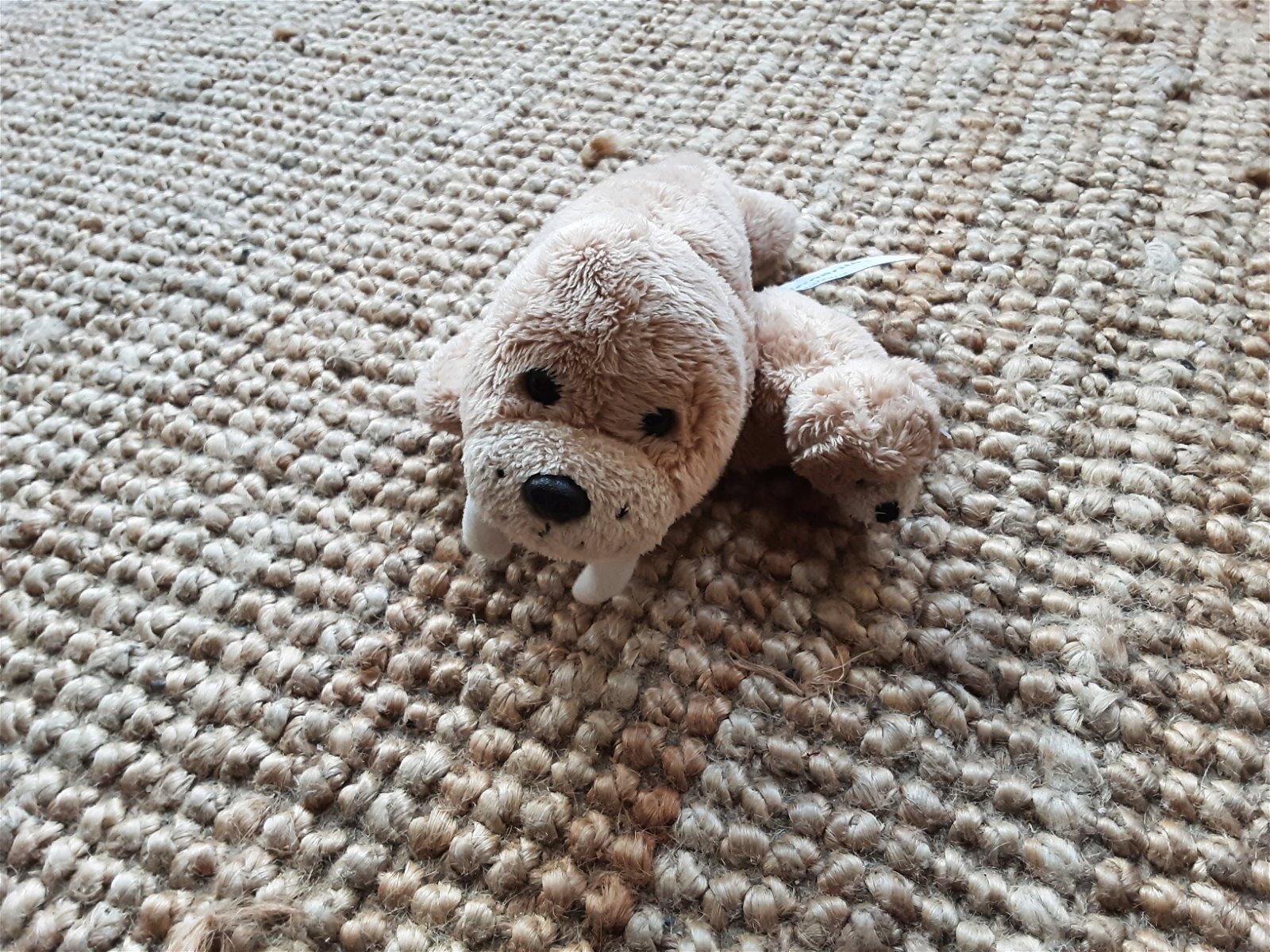 1200 Walrus met jong Dolfinarium 22cm - nr. 1