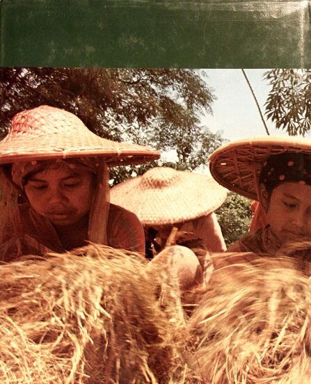 INDONESIË IN OPKOMST - Afbeelding 2