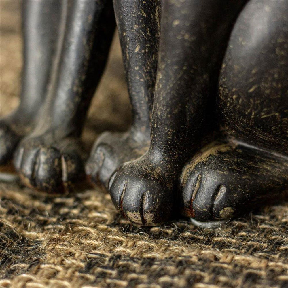 Knuffelende katten -charmante katten-kat poes - Afbeelding 2