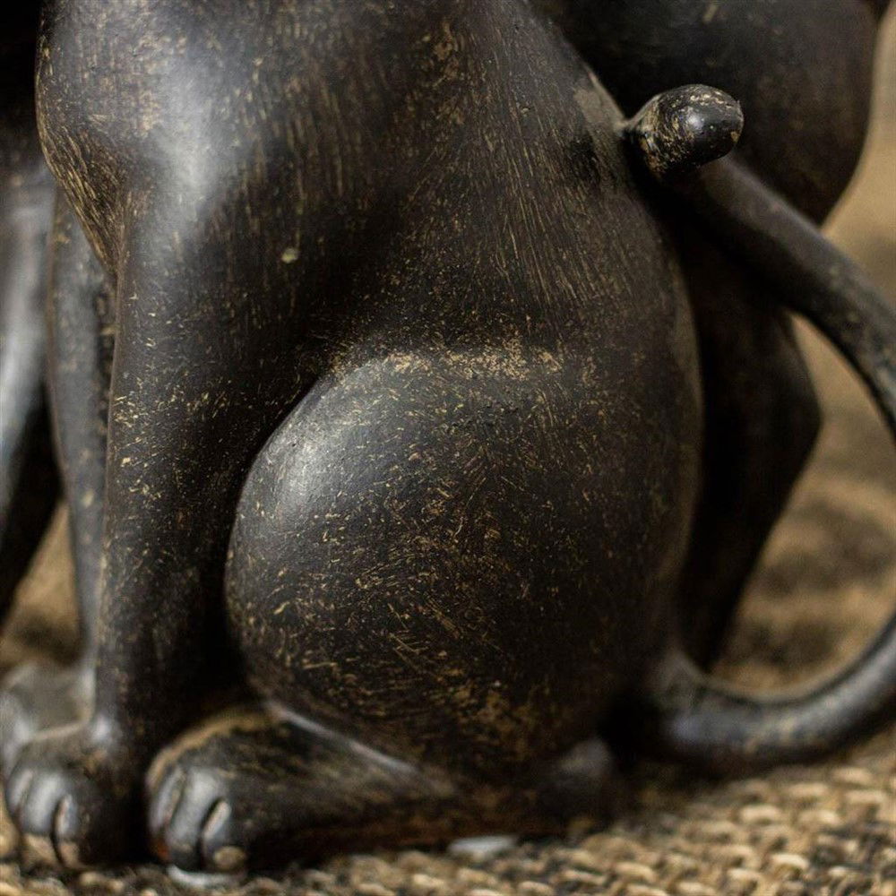 Knuffelende katten -charmante katten-kat poes - Afbeelding 4