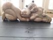 chinees authentiek houten familie beelden - 4 - Thumbnail