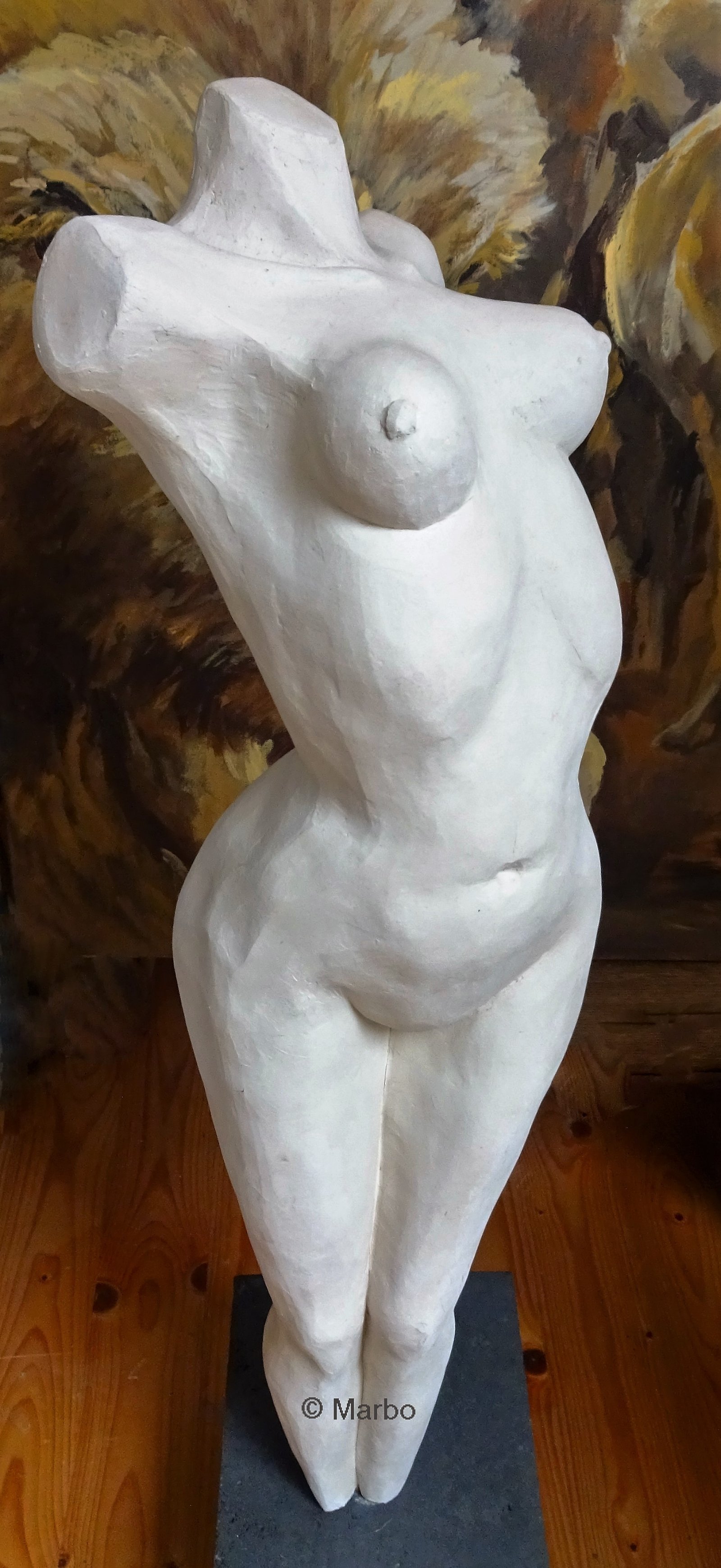 Torso Verheven - Afbeelding 2