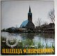 Halleluja Schermerhorn 55 jaar 13 nrs LP 1981 mooie staat - 1 - Thumbnail