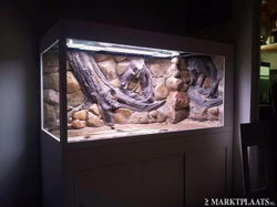 Amazone Aquarium achterwand 150x60cm in 2 delen.