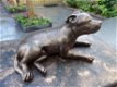 Stafford Terrier beeldje liggend of staand op urn geplaatst - 3 - Thumbnail