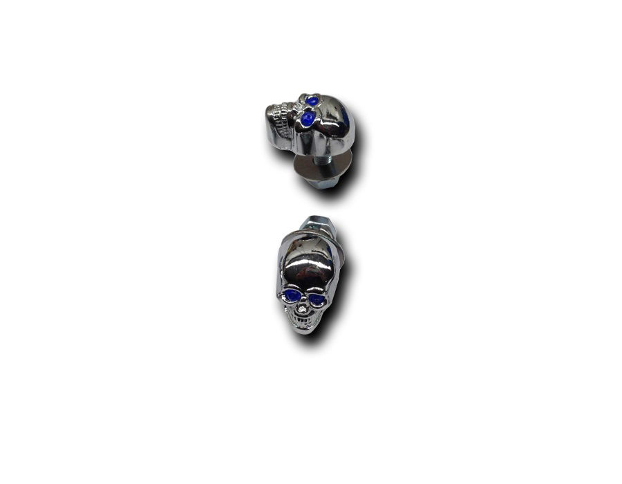 Skull bout M6 (21mm) verschillende - nr. 1