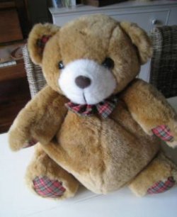 Leuke theemuts in vorm teddybeer - Pickwick