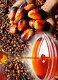 palmolie voor koken, biodiesel en ander gebruik - 1 - Thumbnail