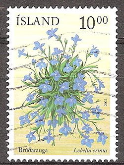 island 1017