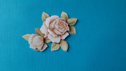 j60a Jeanine / roos