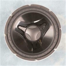 12 inch Subwoofer 300 Watt 4 Ohm (L042EKJ)