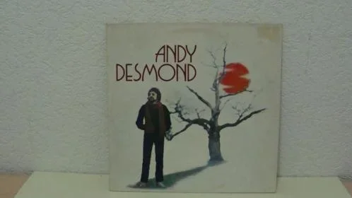 ANDY DESMOND - Andy Desmond uit 1978 Label : Ariola 26 120 XOT - 0