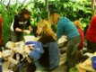 Creatieve workshops speksteen en boetseren , Apeldoorn - 6 - Thumbnail