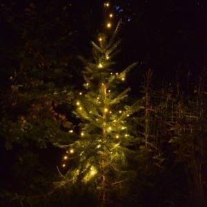 Kerstverlichting Solar 50 leds met extra groot zonnepaneel - 0