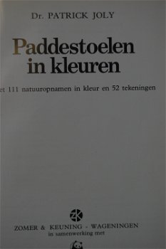 Paddestoelen in kleuren - 0