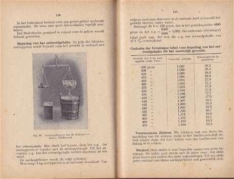 Bijzondere plantenteelt - 2