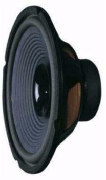 10 Inch Breedband Speaker 40Watt RMS 8Ohm (034AKJ-E) - 1