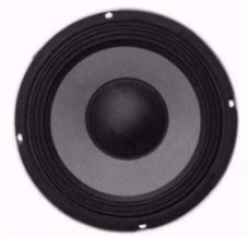 20 Cm Bass Speaker 200 Watt 8 Ohm (041-KJ)