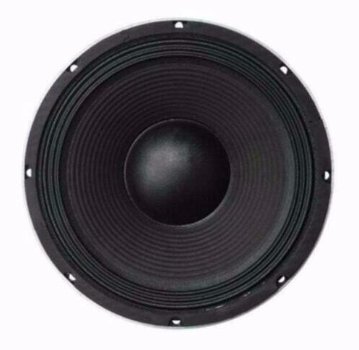 25 Cm Bass Speaker 300 Watt 8 Ohm (L041B-ELL) - 0