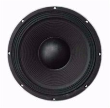 25 Cm Bass Speaker 300 Watt 8 Ohm (L041B-ELL)