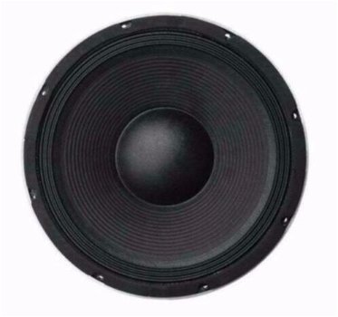 30 Cm Bass Speaker 350 Watt 8 Ohm (L041-EL) - 0