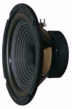 8 Inch Breedband Speaker 40Watt RMS 8Ohm (032CKJ) - 1