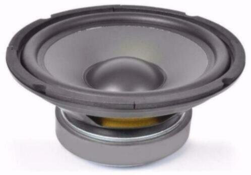 Bas Speaker 250 Watt 25 Cm 8 Ohm (214-T) - 1