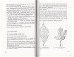 Planteziekten in de tuinbouw - 1 - Thumbnail
