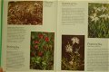 Blommor i skog och mark - 1 - Thumbnail