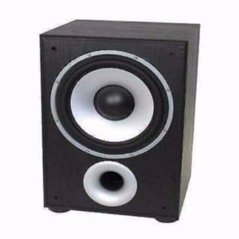 Actieve Subwoofer 100 Watt Zwart (304-B) - 1