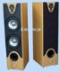 Speakers 2 x 180 Watt beuken houten kast op Spikes (017D) - 1 - Thumbnail