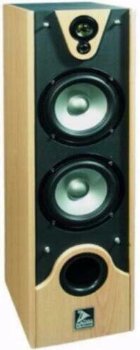 Speakers 2 x 180 Watt beuken houten kast op Spikes (017D) - 2