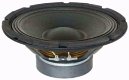 SP1000 Chassis Speaker 25 Cm 300 Watt 4 Ohm (248-T) - 0 - Thumbnail