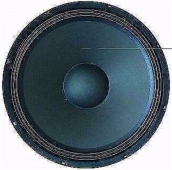 Bass Subwoofer 30 Cm 200 Watt 4 Ohm (9902-D) - 0