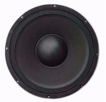 30 Cm Bass Speaker 350 Watt 4 Ohm (L041D-EL) - 0