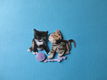 j137b Jeanine / poezen - 0 - Thumbnail