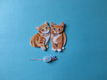 j136 Jeanine / poezen - 0 - Thumbnail