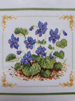 Borduurpakket VIOOLTJES NIEUW !