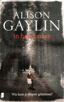 Alison Gaylin - In Het Donker - 0