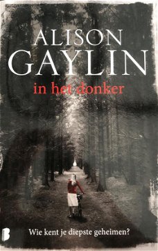 Alison Gaylin  -  In Het Donker