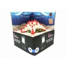 H2SHOW Star Fish + White LED - 0