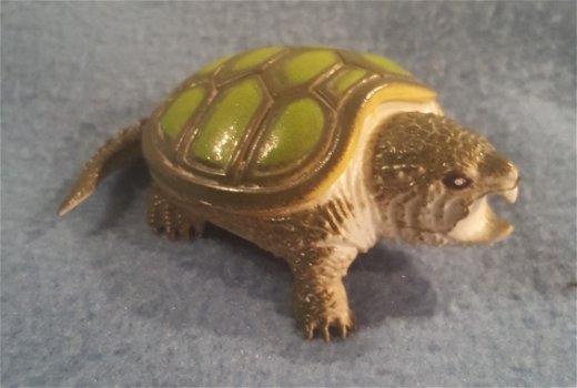 schildpad plastic - 1