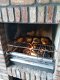 Grillhaardrooster Maatwerkrooster Barbeque-rooster Rvs-gril - 7 - Thumbnail