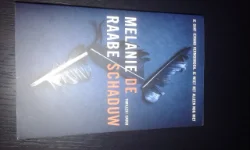 De schaduw (Melanie Raabe)