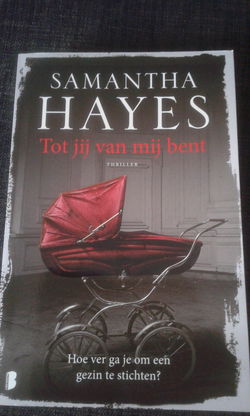 Tot jij van mij bent (Samantha Hayes)