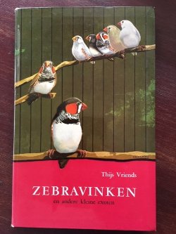 Zebravinken en andere kleine exoten - Thijs Vriends