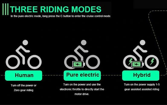 Elektrische Fiets 750W 45 Km/h - 5