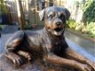 Rottweiler urn inclusief beeld - 1 - Thumbnail